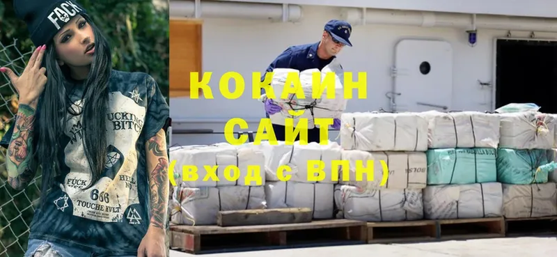 КОКАИН Fish Scale  продажа наркотиков  Чебоксары 