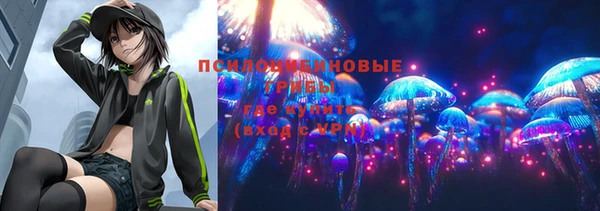 бошки Пестово