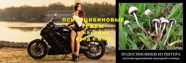 бошки Пестово