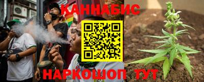 шишки Обь
