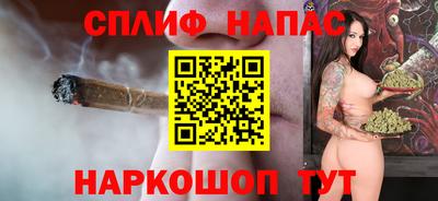 шишки Обь