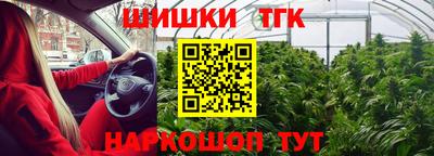 шишки Обь