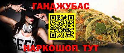 шишки Обь