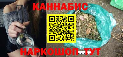 шишки Обь