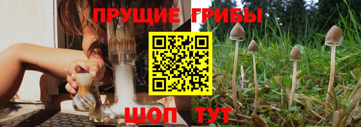 Псилоцибиновые грибы Magic Shrooms Чебоксары