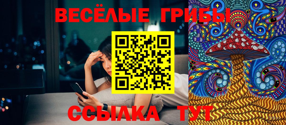 Чебоксары  Галлюциногенные грибы мухоморы  Вход с VPN 